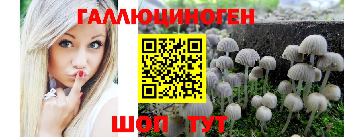 Псилоцибиновые грибы GOLDEN TEACHER Дятьково